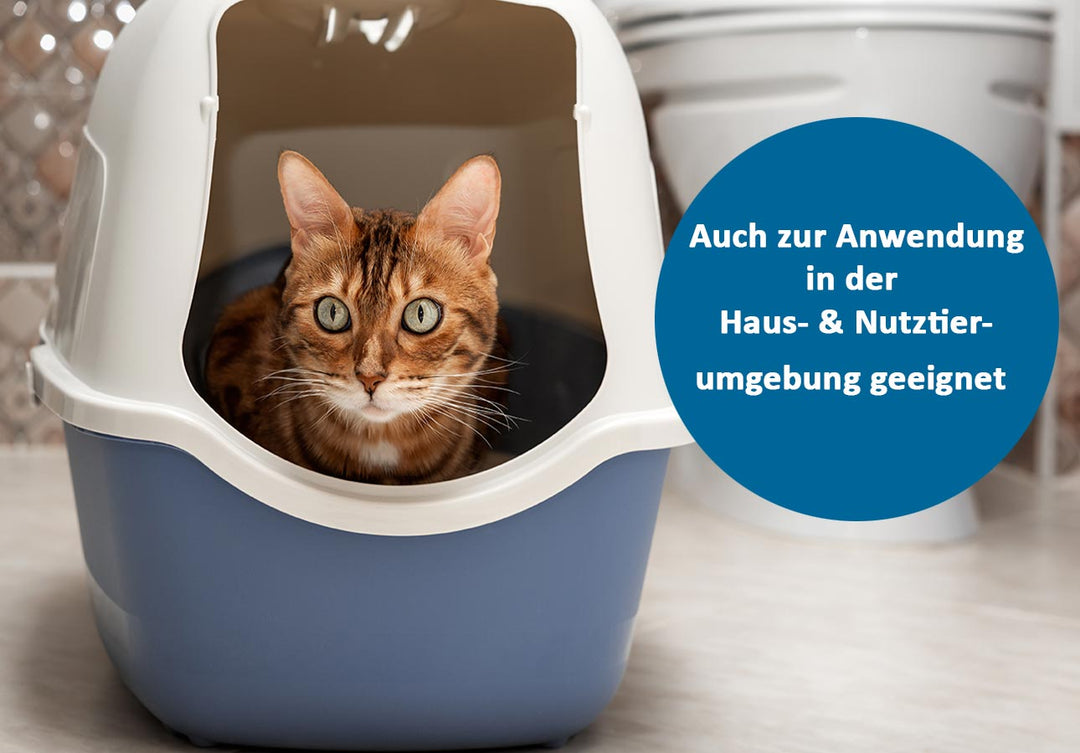 Katze in Katzenklo
