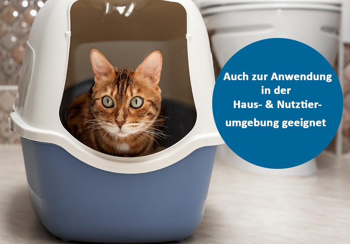 Katze in Katzenklo