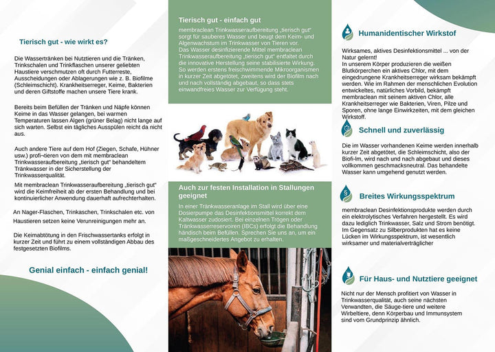 Sag's weiter: Kostenlose Flyer "Tierisch gut" für Freunde und Bekannte - membraclean-shop.de